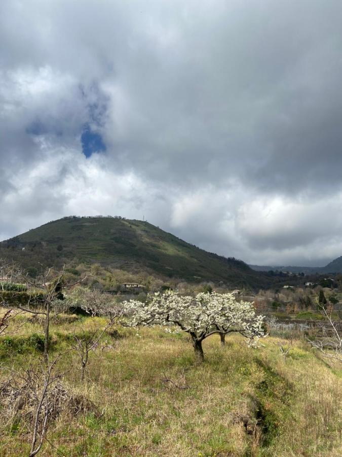 Casa Clo Βίλα Trecastagni Εξωτερικό φωτογραφία
