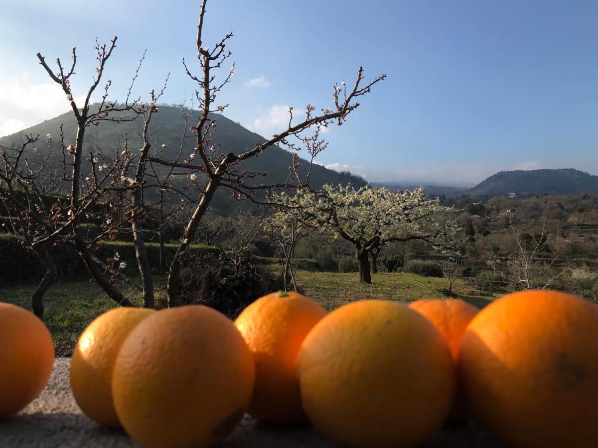Casa Clo Βίλα Trecastagni Εξωτερικό φωτογραφία