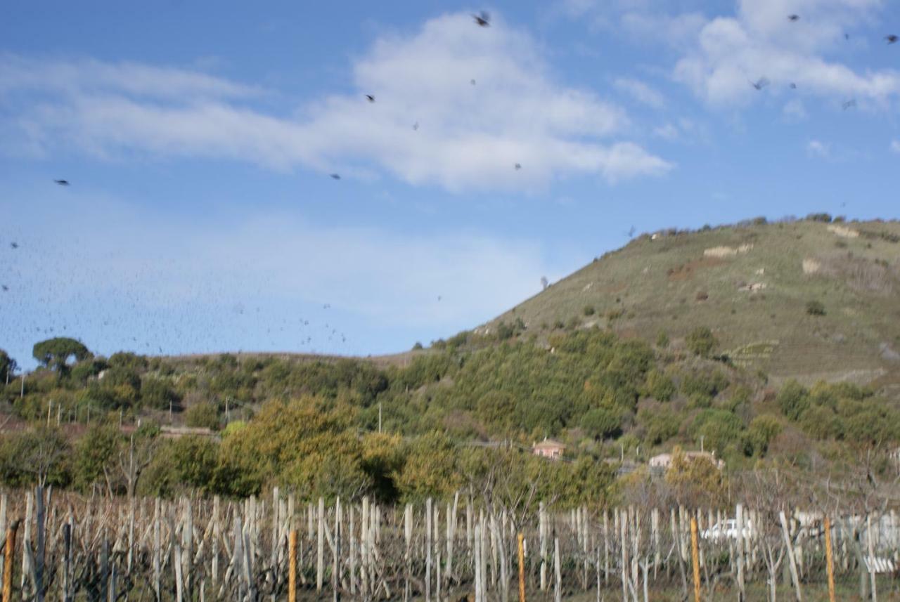 Casa Clo Βίλα Trecastagni Εξωτερικό φωτογραφία